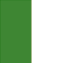 square or rectangle